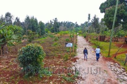 Red Soil Plots in Kimunyu