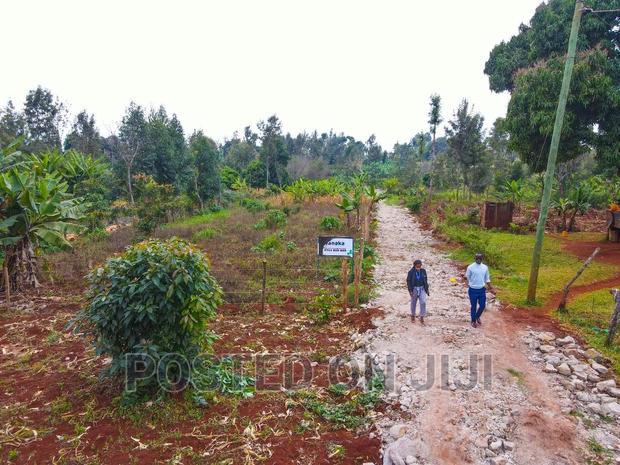 Red Soil Plots in Kimunyu