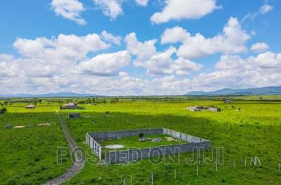 New Plots in Malaa