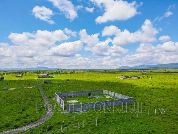 New Plots in Malaa