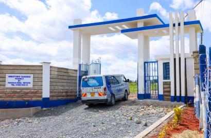 Prime Plots in Malaa
