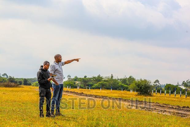 50 by 100 Plots in Koma.