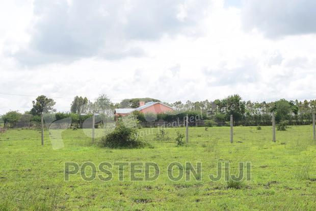 Cheapest Plots in Juja Farm - CK