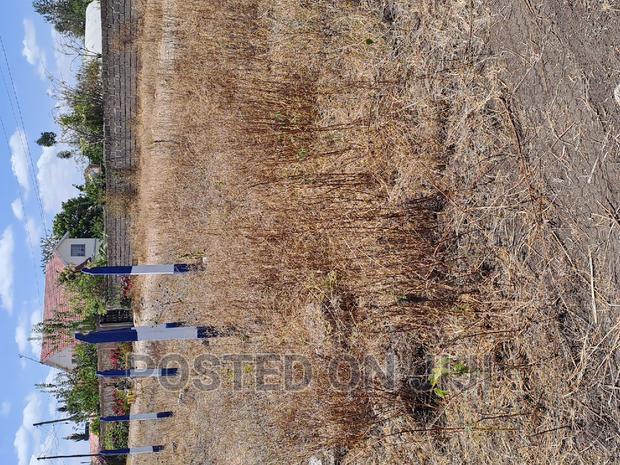 1/8th Acre Plots Kamulu 3M. Mw^