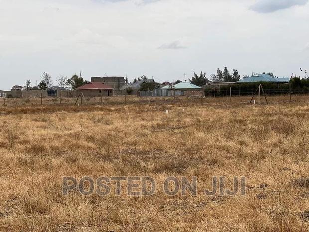 Ready to Settle Plots.