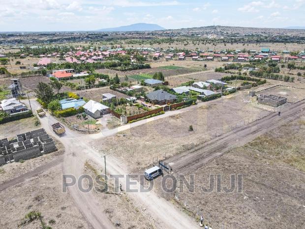 Plots for Immediate Settlement