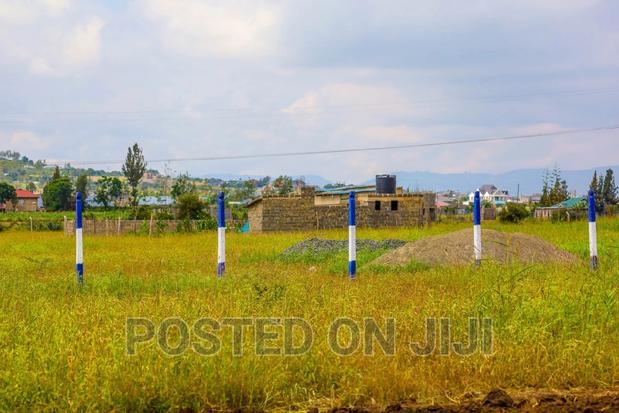 Unveiling New Malaa's 50 by 100 Plots