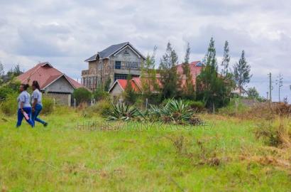 Syokimau-Katani Plots at 2.3M Ww^