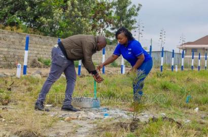 Genuine Katani Plots at 2.3M Ww ^