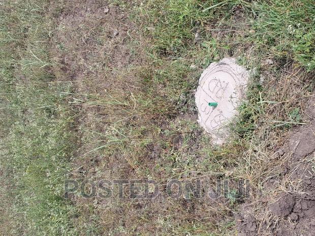 New Plots in Malaa