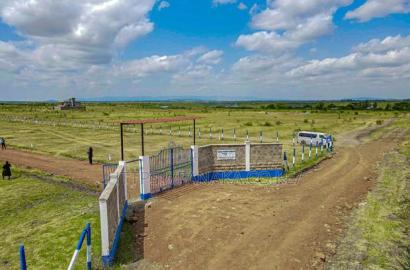 Cheap 50 by 100 Plots in Juja