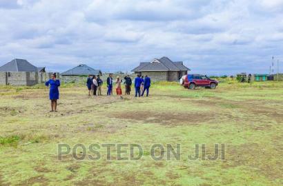 Murera Plots