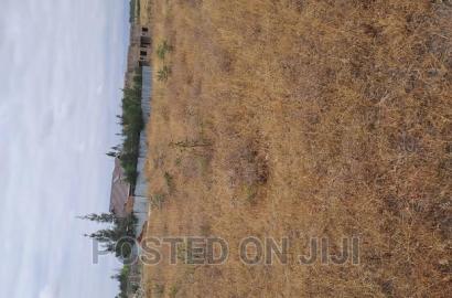 Malaa Plots Ready to Settle at 1.1mw^