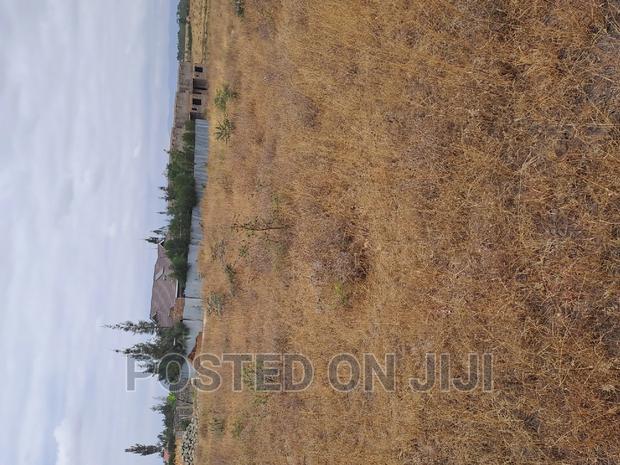 Malaa Plots Ready to Settle at 1.1mw^