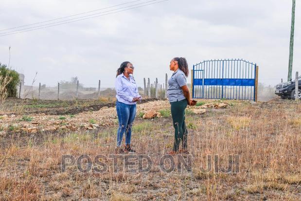 Prime Plots in Kamulu.