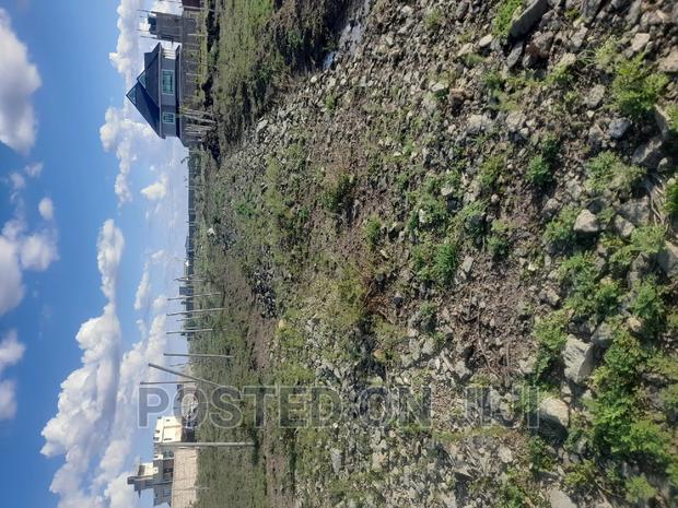 Plots in Silicon Valley