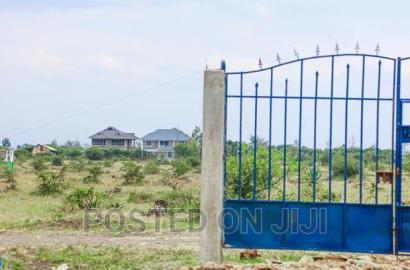 Prime Plots in Kamakis Area
