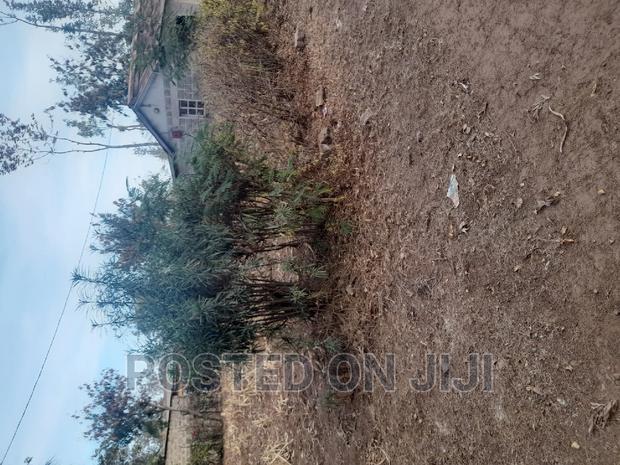 Best Land Deals