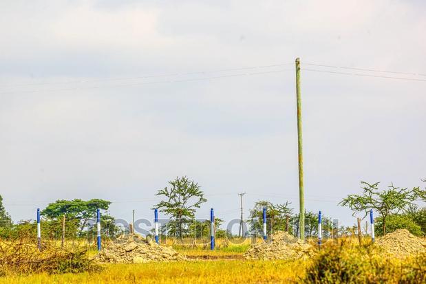 Affordable Plots in Koma