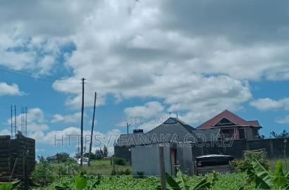1 Acre Commercial Land in Malaa