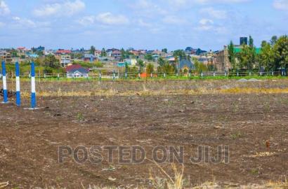 Strategic Prime Plots in Kamulu