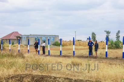 Plots in Murera