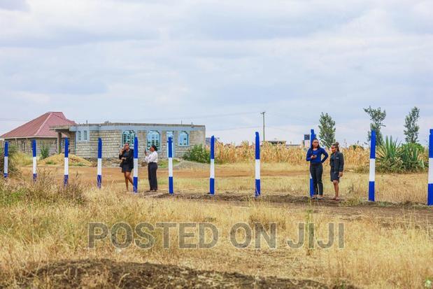 Plots in Murera