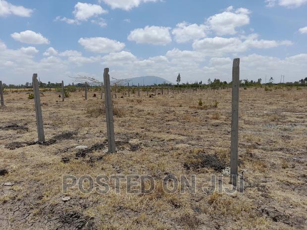 Cheap Plots In Kamulu