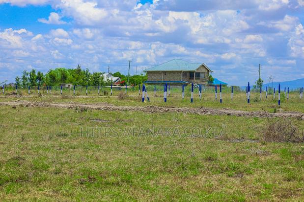 Cheap Katani Plots