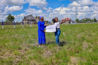 Katani Plots in a Controlled Estate We
