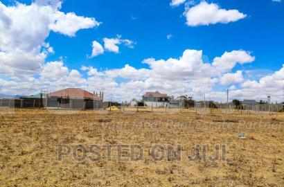 Zawadi 800 Meters From Tarmac