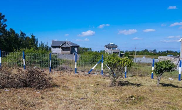 A State Of The Art Plots In Kamuluac