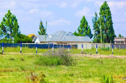 Katani Plots at 1.6M