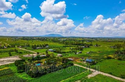 Malaa Plots in a Green Environment Mw