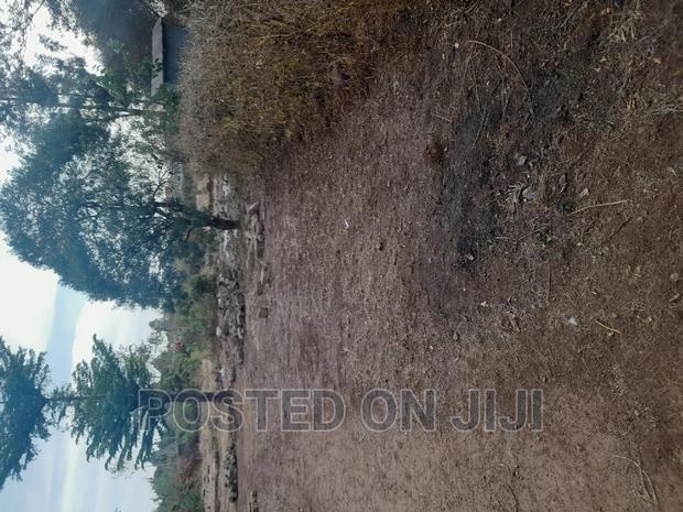 Best Land Deals