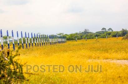 50 by 100 Plots in Koma.