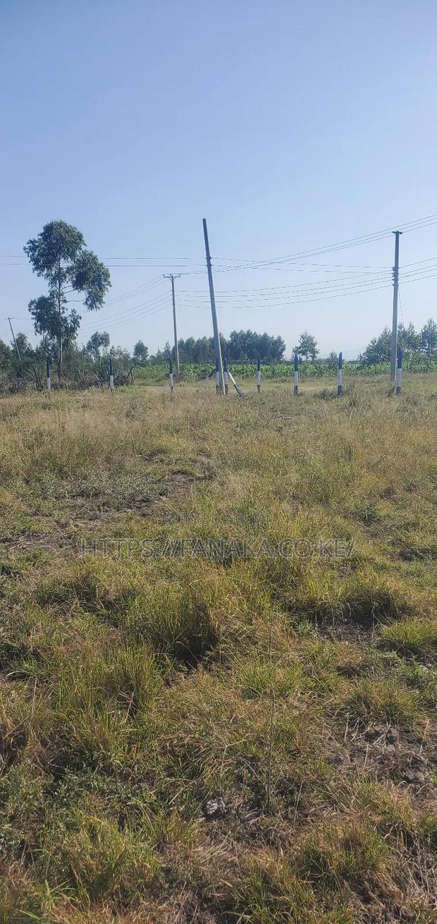 Plots in Kamakis
