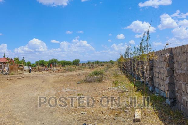 Plots in Kamakis