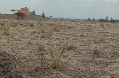 Ruiru Prime Residential Property 50*100 in Size