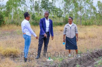 Kamulu Prime Plots