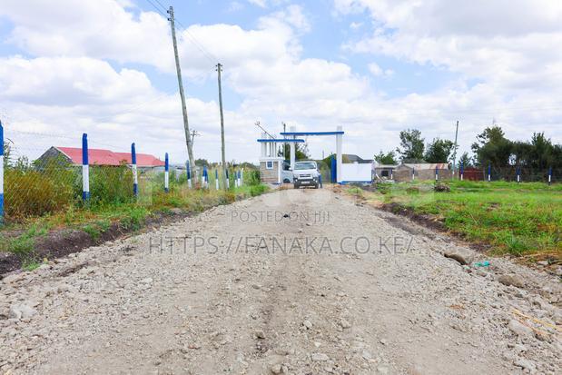 Prime Plots in Malaa