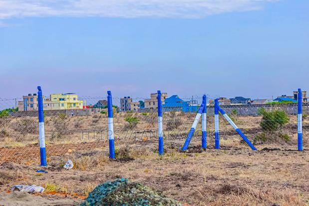 Cheap Plots in Silicon Valley Kamakis