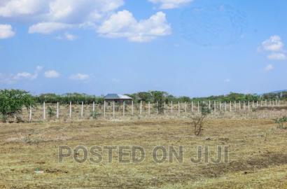 Plots in Kamakis