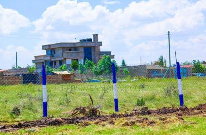 Touching Katani Rd