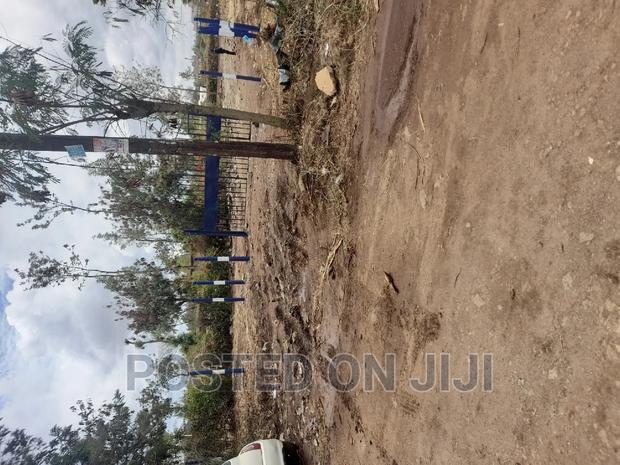 Plots for Immediate Development in Kamakis