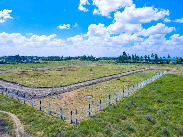 Katani Plots at 1.6M