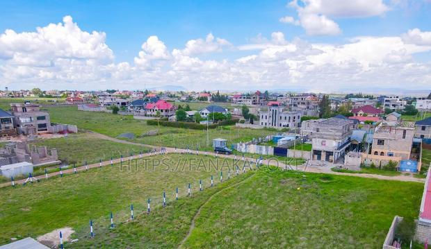 Katani Plots in a Controlled Estate We