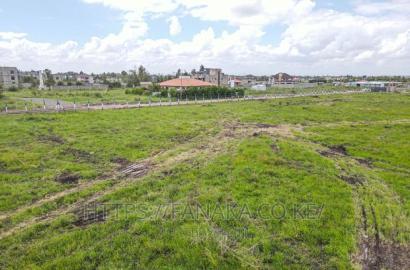50 by 100 Syokimau-Katani Plots Ww^