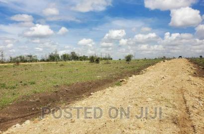 Lipa Mdogo Mdogo Kamulu Plots.