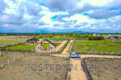 Affordable Prime Plots